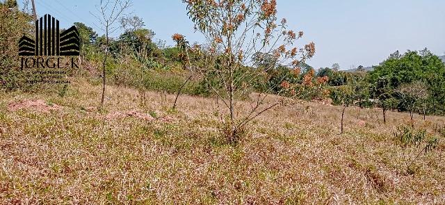 Terreno à venda, 1000m² - Foto 6