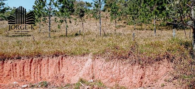 Terreno à venda, 1000m² - Foto 9