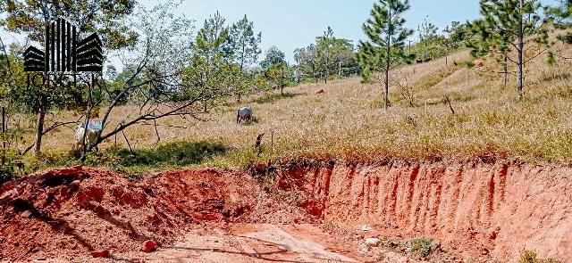 Terreno à venda, 1000m² - Foto 13